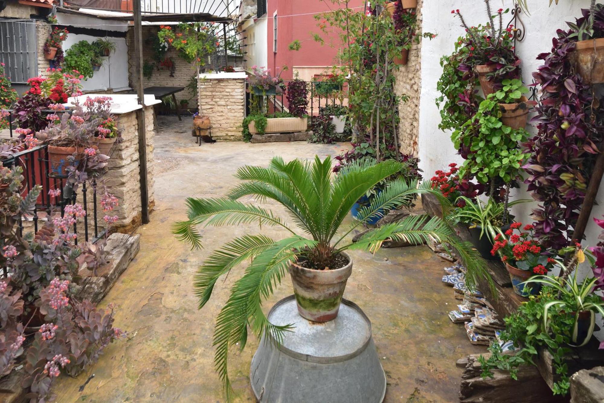 Casa Tenorio Barrio De Santa Cruz Sevilha Exterior foto