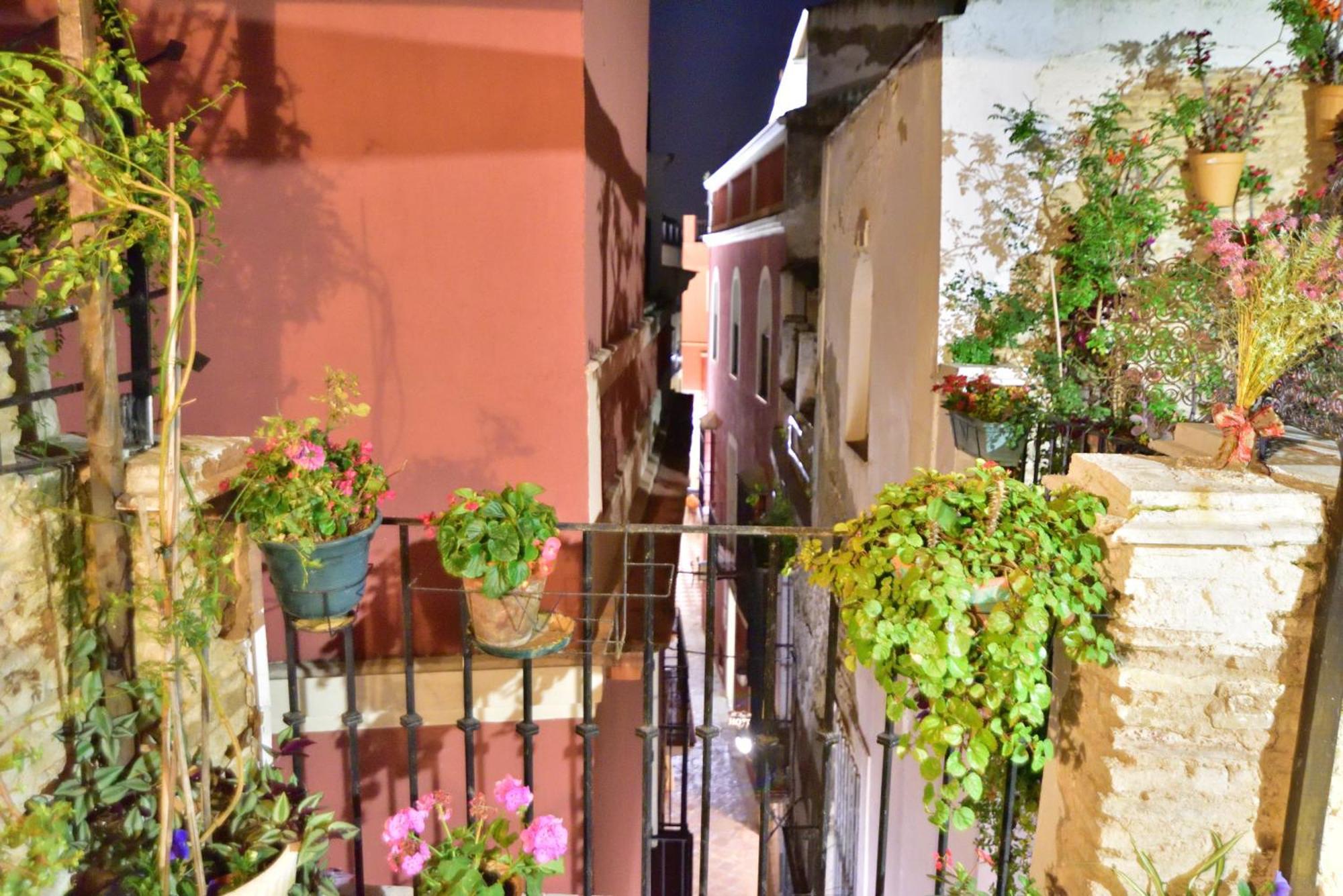 Casa Tenorio Barrio De Santa Cruz Sevilha Exterior foto